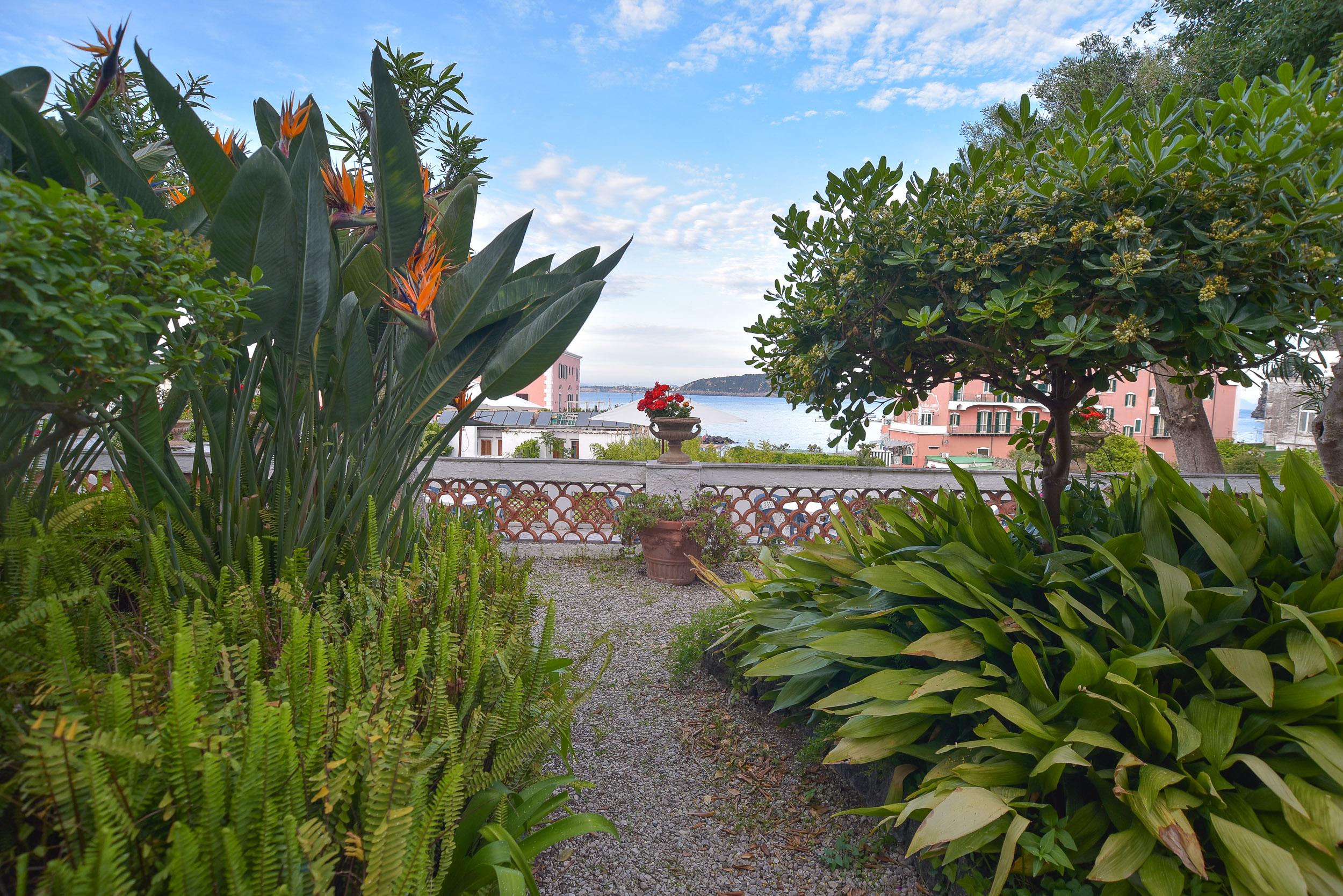 Hotel Villa Panoramica Ischia Exterior foto